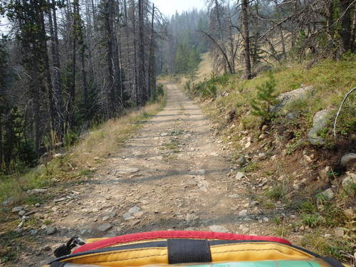 GDMBR: We rode another Unnamed/Unmarked National Forest Road like pros!